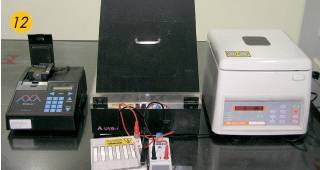 PCR Machine