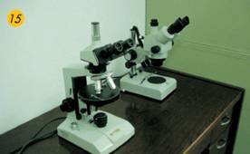 Stereomicroscope